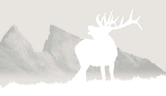 Wind River Elk background